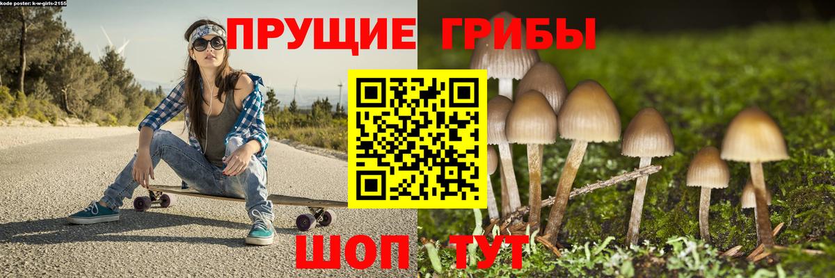 Галлюциногенные грибы Magic Shrooms  Вход с VPN  даркнет сайт  Лобня 